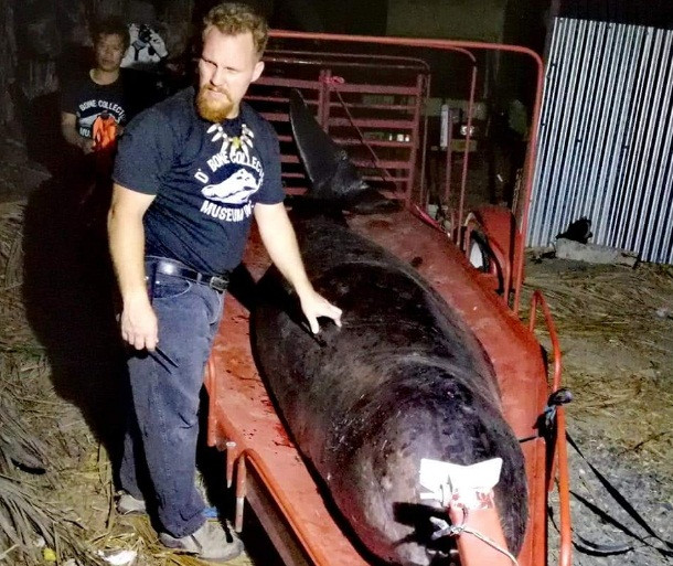 Ca voi non ra mau va su that kinh hoang-Hinh-2