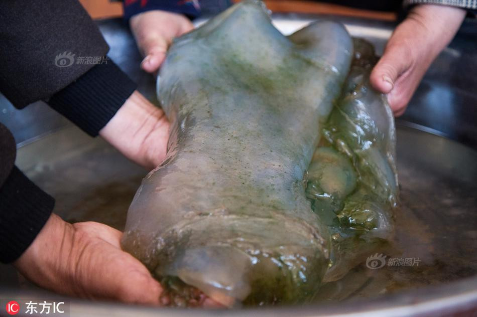 Vì vậy, ngay sau khi tin tức được lan truyền, rất nhiều người đã tìm đến anh Trương để hỏi mua. Có người trả giá 1 lạng - 3000 tệ (khoảng hơn 10 triệu đồng). Tuy nhiên, anh Trương vẫn luyến tiếc chưa chịu bán.