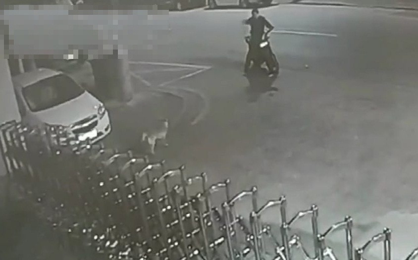 Hi huu thanh nien cai nhau voi... cho bi canh sat bat