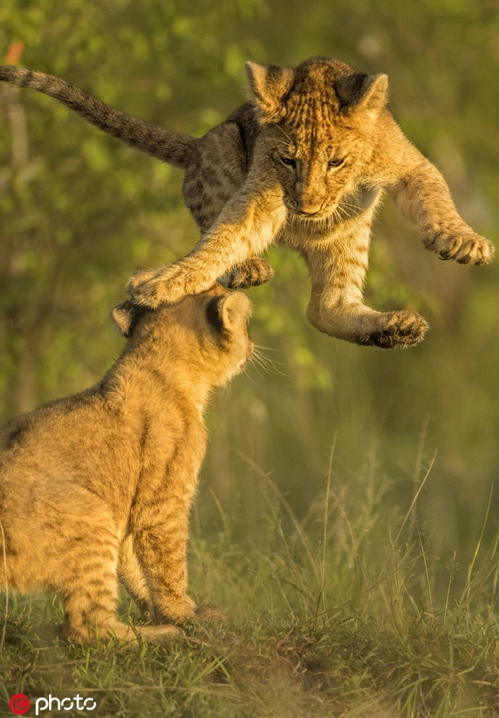 Những khoảnh khắc này thực sự ngọt ngào, khiến nhiều người ngưỡng mộ.