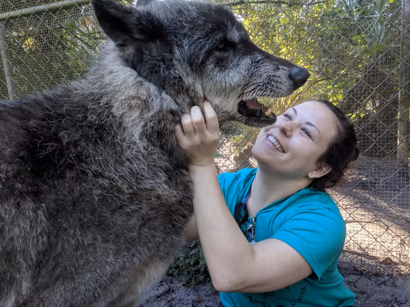 Cho soi khong lo bi ung thu va cai ket dep-Hinh-2