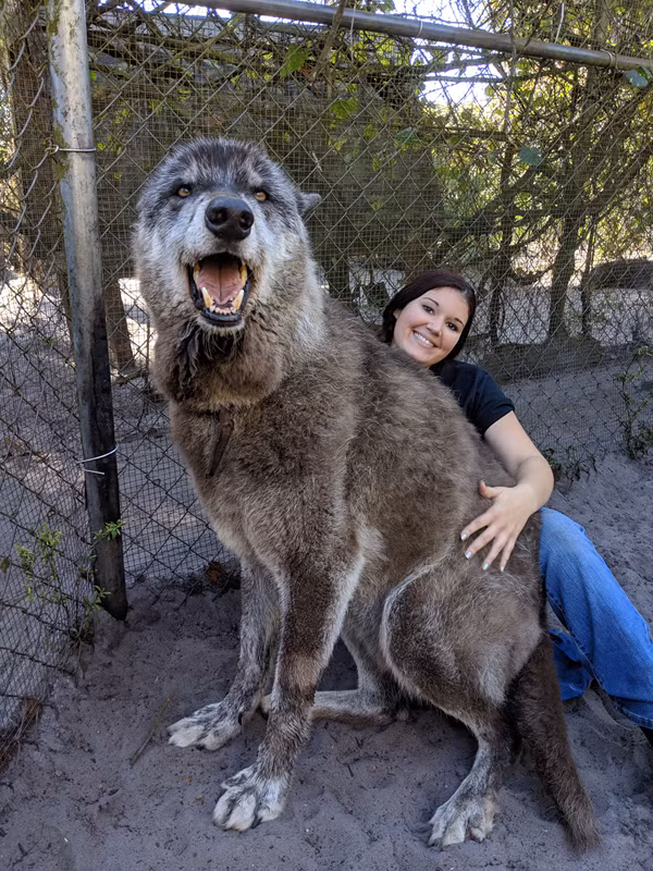 Cho soi khong lo bi ung thu va cai ket dep