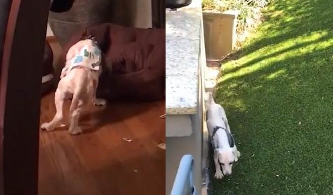 Cho quyet dung xuyen dem khong ngu va su that dau long phia sau