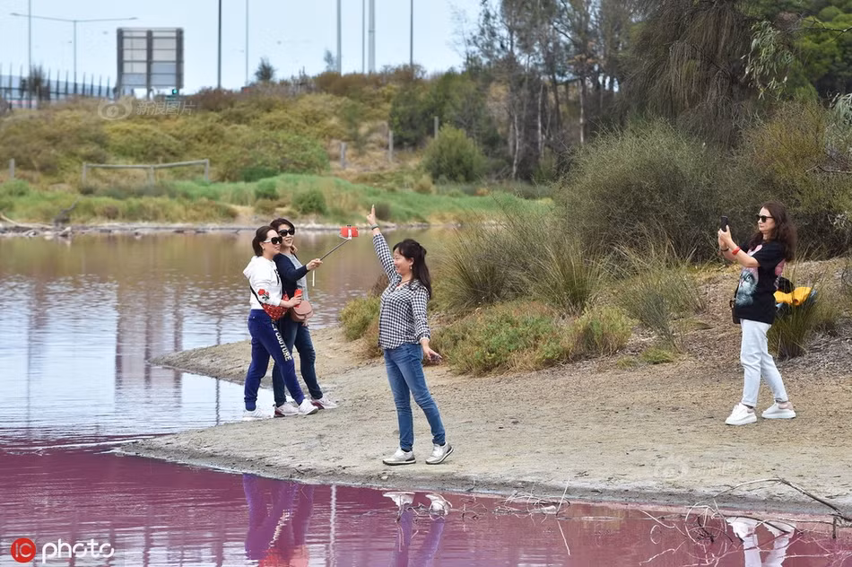 Hồ nước nhỏ bỗng nhiên nổi tiếng vì điều ấn tượng này - Hình 4 Ho nuoc nho bong nhien noi tieng vi dieu an tuong nay-Hinh-4