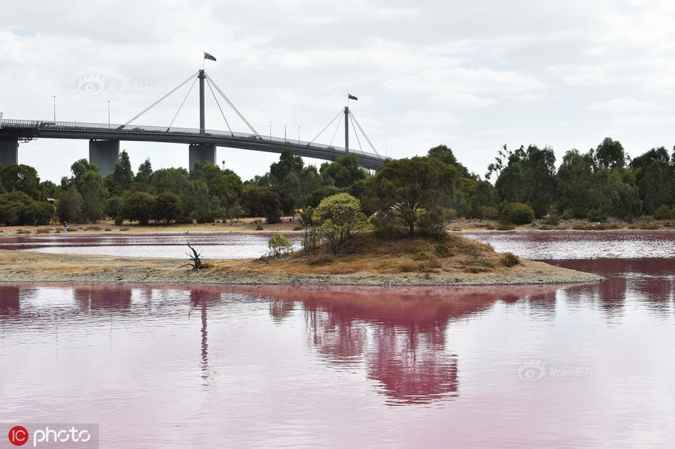 Ho nuoc nho bong nhien noi tieng vi dieu an tuong nay-Hinh-5