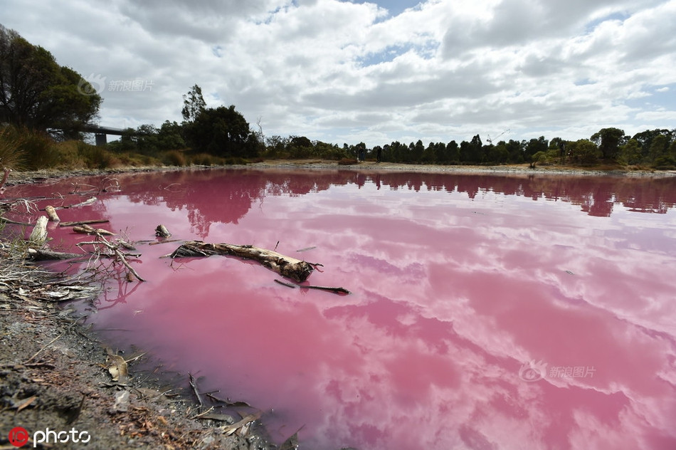 Ho nuoc nho bong nhien noi tieng vi dieu an tuong nay-Hinh-2