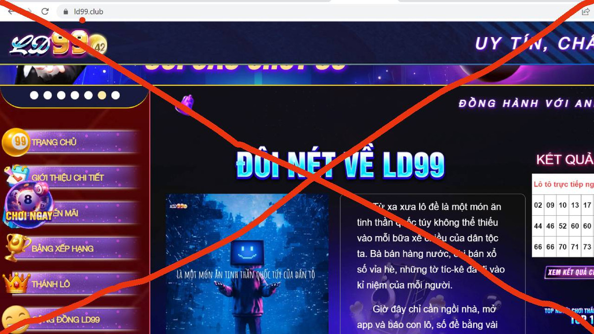 Ngan chan the nao loat web den “doc hai” ngang nhien hoat dong?-Hinh-2