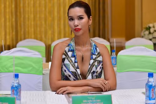 Ca si Dam Vinh Hung lam giam khao Hoa khoi DBSCL 2015-Hinh-5