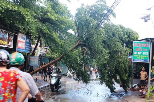 Loc xoay kinh hoang o TP HCM Lam bay hang chuc nha dan-Hinh-4