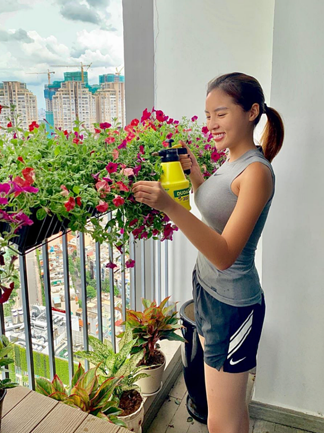 Vì được chăm sóc cẩn thận nên khu vườn xanh mát mắt.