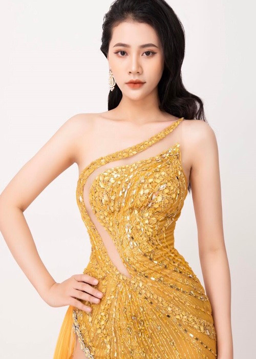 Trước Hoa hậu Biển đảo Việt Nam, Như Phương không phải là gương mặt quen thuộc với khán giả. Ảnh: FBNV