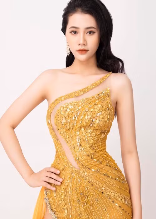 Trước Hoa hậu Biển đảo Việt Nam, Như Phương không phải là gương mặt quen thuộc với khán giả. Ảnh: FBNV