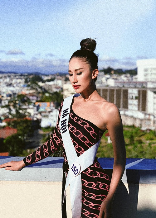 Năm 2019, Diana tham gia cuộc thi Hoa hậu Hoàn vũ Việt Nam. Cô lọt top 15 chung cuộc.