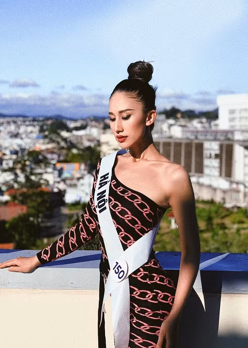 Năm 2019, Diana tham gia cuộc thi Hoa hậu Hoàn vũ Việt Nam. Cô lọt top 15 chung cuộc.