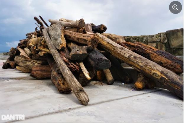 Củi nhặt được người dân gom lại chở đi bán một lượt mỗi ngày, thu nhập tiền triệu (Ảnh: Hoài Sơn).