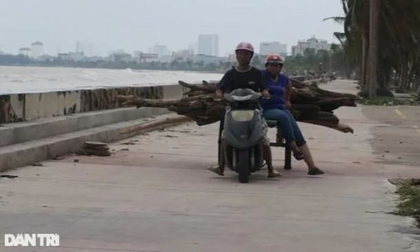 "Năm nay mưa lũ lớn nên lượng gỗ và củi đổ về bờ biển nhiều, ước tính lên hàng trăm tấn. Chỉ một buổi sáng, chúng tôi nhặt được hơn 1 tấn gỗ, tầm này bán được 2 triệu đồng", anh Tuấn chia sẻ (Ảnh: Hoài Sơn).