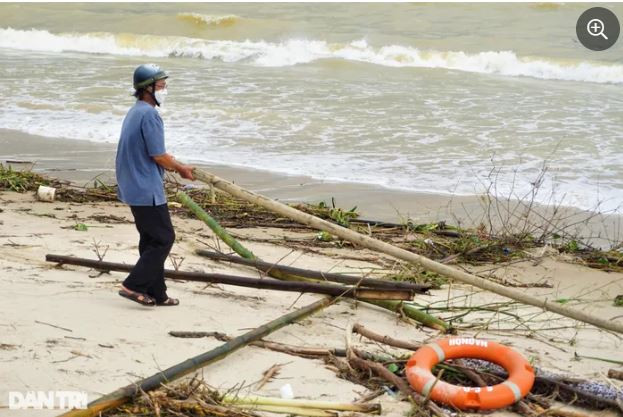 Vì muốn góp phần dọn rác, nhiều người như anh đã kéo xe ra biển để nhặt những cành cây gãy, gỗ vụn này về sử dụng trong gia đình (Ảnh: Hoài Sơn).