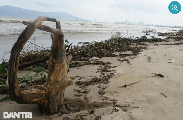 Theo anh Tuấn, những ngày vừa qua, mưa lớn khiến nước ở các sông, suối từ thượng nguồn đổ về biển Nguyễn Tất Thành (Đà Nẵng), kéo theo hàng tấn rác, gỗ, củi bị sóng đánh dạt vào bờ, gây mất cảnh quan môi trường (Ảnh: Hoài Sơn).