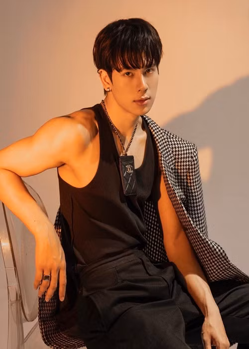 Trước khi đóng phim, anh làm người mẫu ảnh, tham gia diễn xuất trong MV "Răng khôn" của Phí Phương Anh.