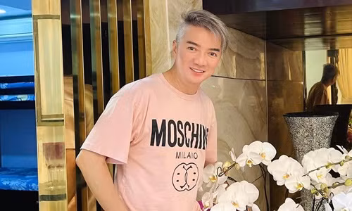 Hang xom mo nhac on ao, vi sao Dam Vinh Hung chiu dung?