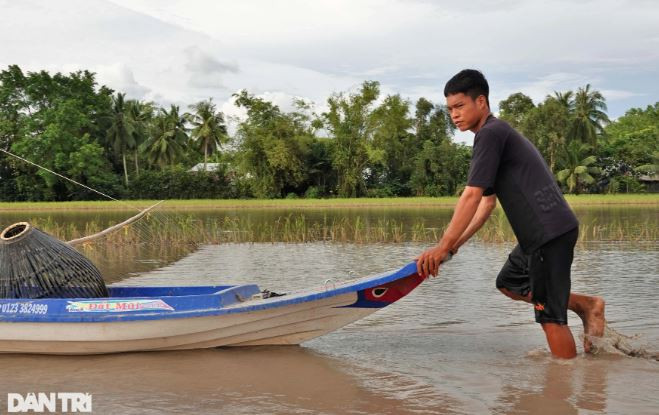 Giàn côn được làm bằng những cọng sắt nhỏ dài 1,5m, được gắn vào một sợi dây may dính với nhau. Trước mùa nước nổi, bà con sẽ chuẩn bị dàn côn, mua sắt về rồi ghép vào thanh tre. Nếu bảo quản tốt, dàn côn có thể dùng 5 - 7 năm (Ảnh: Bảo Kỳ).