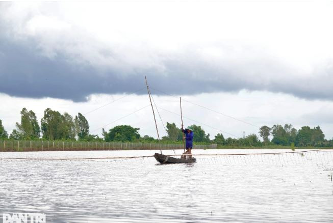Dụng cụ hành nghề đẩy côn gồm chiếc xuồng, một bộ côn được làm bằng 2 thanh tre có hình cánh cung với những sợ dây chì được kéo lê trên mặt ruộng và một chiếc nơm chụp cá (Ảnh: Bảo Kỳ).