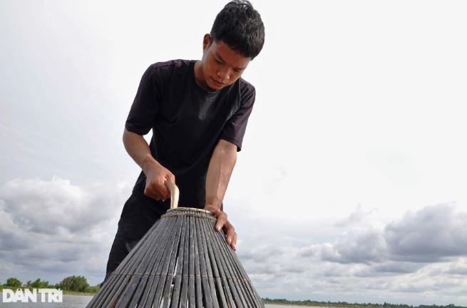 Xuồng di chuyển, từng que côn chạm cá, cá chúi xuống sình nổi lên bọt khí, người thợ nhanh tay dùng nơm chụp lấy rồi thò tay bắt cá (Ảnh: Bảo Kỳ).