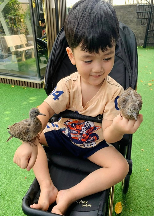 Đàm Vĩnh Hưng lập cho con trai fanpage và một trang cá nhân Instagram.