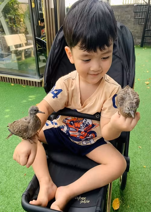 Đàm Vĩnh Hưng lập cho con trai fanpage và một trang cá nhân Instagram.