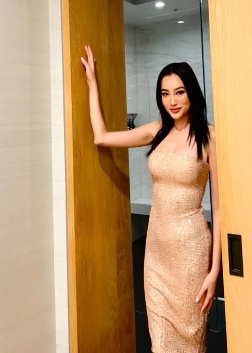 Hình ảnh Trúc Diễm định cư ở Mỹ thu hút sự quan tâm của nhiều khán giả Việt Nam.