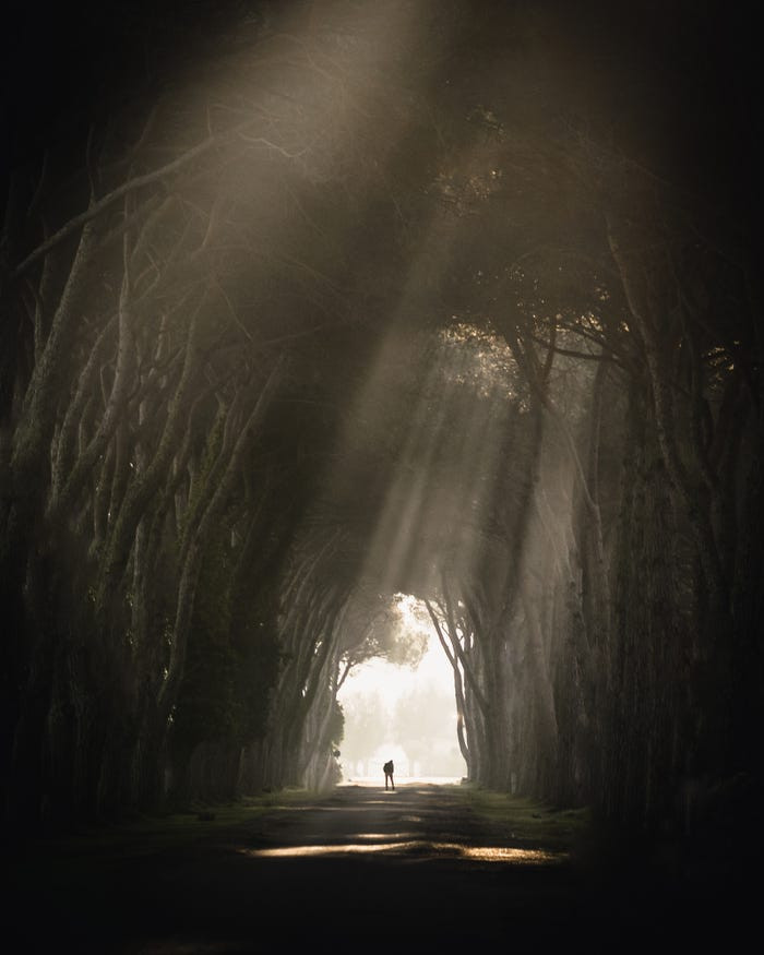 Jewi Rücker chụp bức ảnh này tại Tuscany, Italy, vào một buổi sáng sớm đầy nắng.