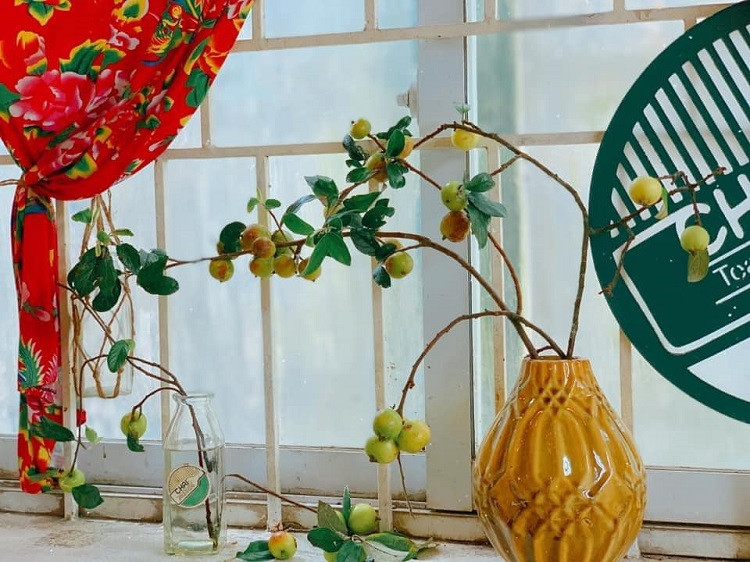 Chi tien trieu mua canh tao meo tuoi ve cam thay hoa-Hinh-4