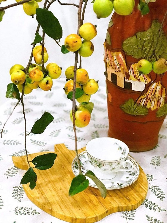 Chi tien trieu mua canh tao meo tuoi ve cam thay hoa-Hinh-2