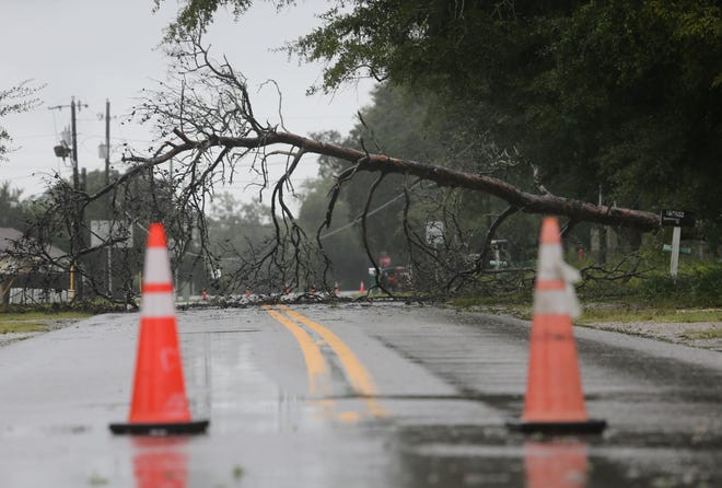 Cây đổ chắn ngang đường ở Niceville, Florida, do mưa lớn và gió mạnh. Ảnh: NWFDaily News.