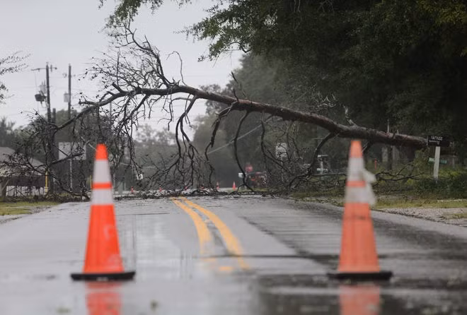 Cây đổ chắn ngang đường ở Niceville, Florida, do mưa lớn và gió mạnh. Ảnh: NWFDaily News.