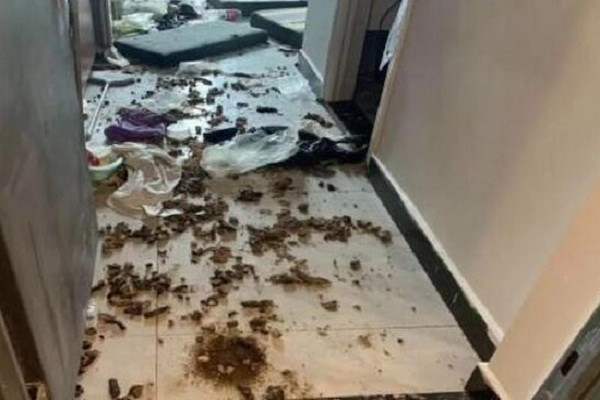 Chu nha kinh hai khi mo cua thay can phong ngap rac-Hinh-3