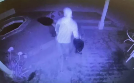 Toi dieu tra, canh sat My an trom nha dan-Hinh-2