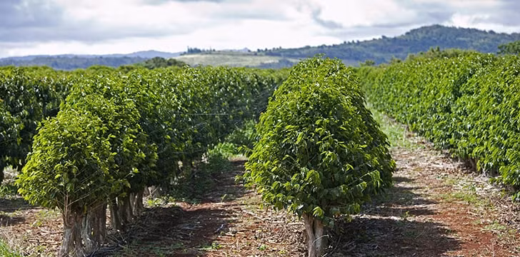 Kham pha thu vi ve bang hanh phuc nhat nuoc My nam 2020-Hinh-2