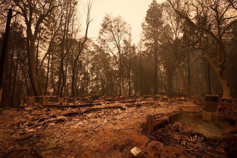Tham hoa chay rung o My: Hang chuc nguoi chet, mat tich-Hinh-10