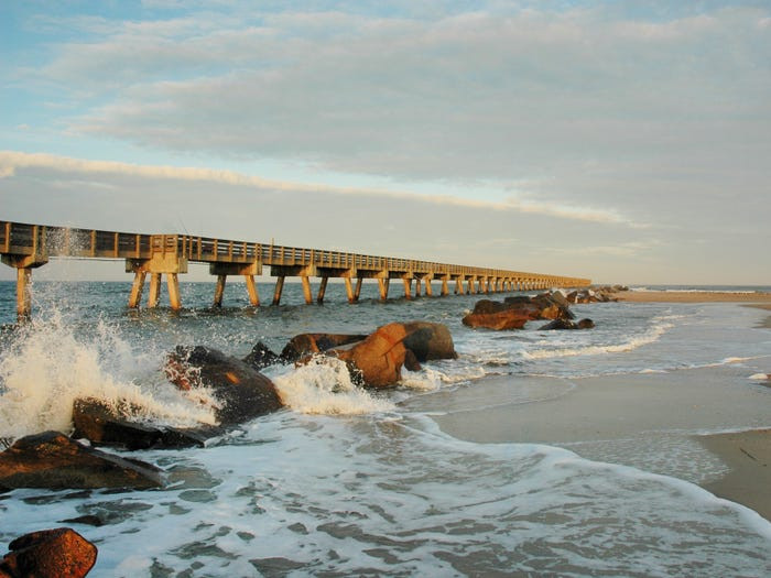 Đảo Amelia ở Florida có đường bờ biển dài tới 21 km và nhiều động vật hoang dã.