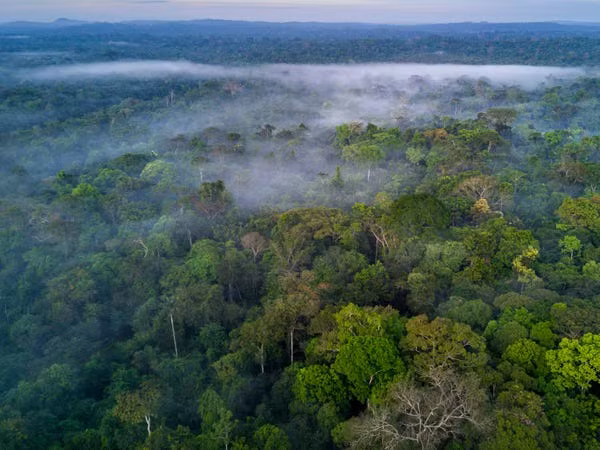 Choang ngop loat ky quan thien nhien pha vo ky luc cua the gioi-Hinh-11