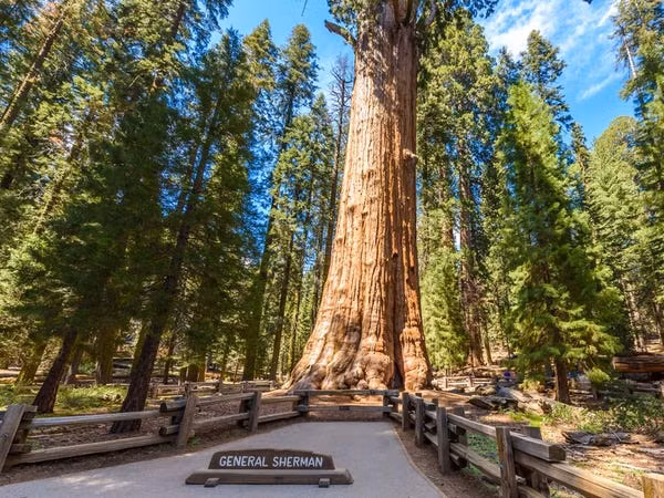 Choang ngop loat ky quan thien nhien pha vo ky luc cua the gioi-Hinh-12