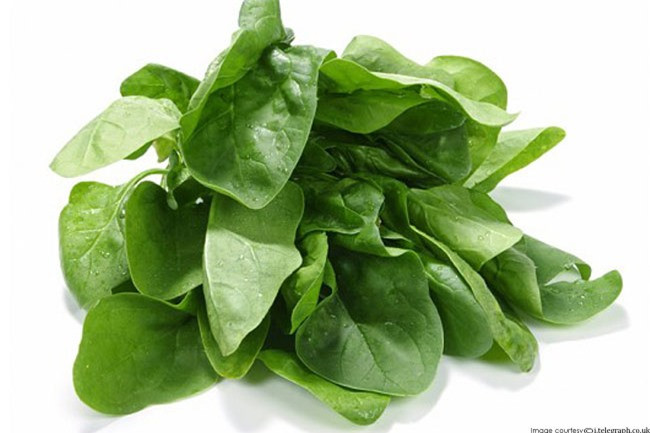 Rau chân vịt: Nghiên cứu cho thấy phytoecdysteroid có trong rau chân vịt có thể làm tăng tốc độ phát triển cơ tới 20%. Bạn sẽ cần ăn khoảng 900g rau chân vịt mỗi ngày để đạt được hiệu quả trên.