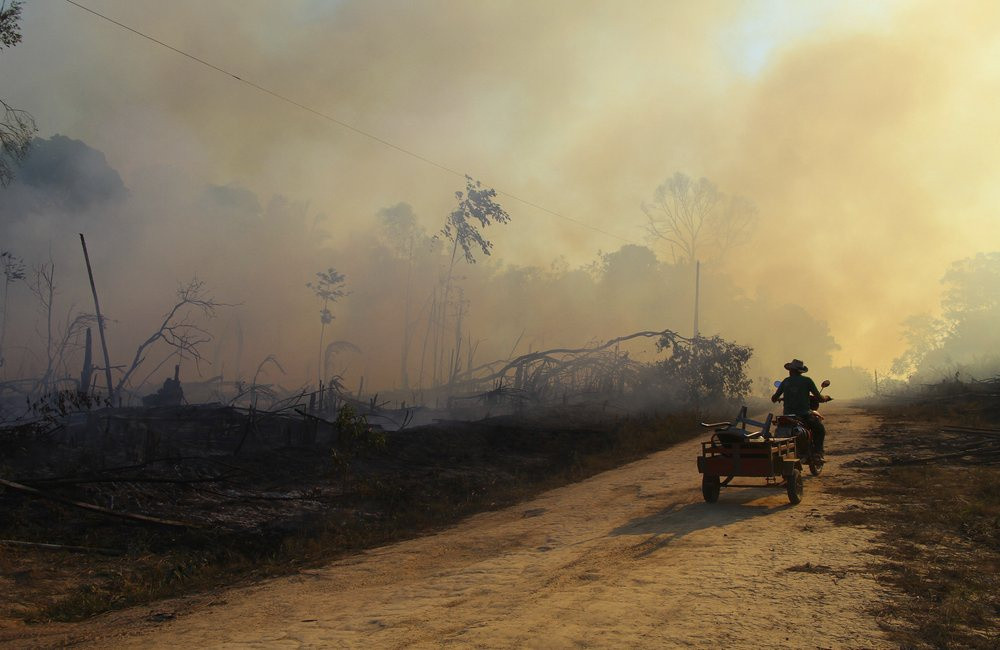 Carlos Nobre, nhà khí hậu học của Đại học Sao Paulo, cho biết Amazon đã mất khoảng 17% diện tích ban đầu. Với tốc độ phá rừng hiện tại, Amazon sẽ đạt đến giới hạn trong vòng 15-30 năm tới và khi phân hủy, khu rừng sẽ thải ra hàng trăm tỷ tấn carbon dioxide vào khí quyển.