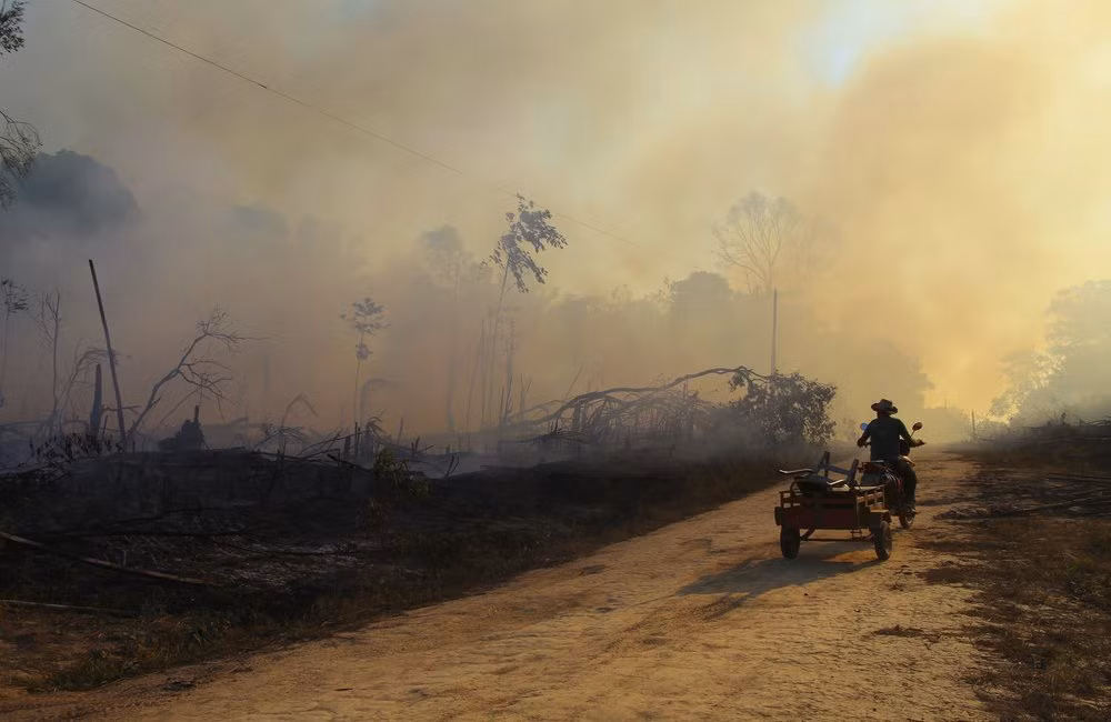 Carlos Nobre, nhà khí hậu học của Đại học Sao Paulo, cho biết Amazon đã mất khoảng 17% diện tích ban đầu. Với tốc độ phá rừng hiện tại, Amazon sẽ đạt đến giới hạn trong vòng 15-30 năm tới và khi phân hủy, khu rừng sẽ thải ra hàng trăm tỷ tấn carbon dioxide vào khí quyển.