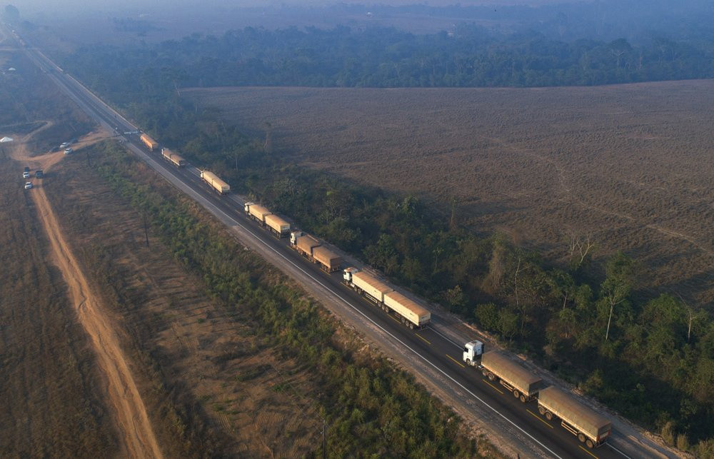 Những người làm chăn nuôi cũng đang tiến vào khu rừng nguyên sinh. Đô thị Novo Progresso tiếp giáp với rừng quốc gia Jamanxim và khu vực được bảo vệ. Cả hai khu vực này đều đã bị băm nát bởi nạn phá rừng. Từ trên cao, khu rừng trông như đang bị phân rã.