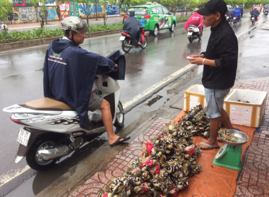 Thuc hu cua Ca Mau 50.000 dong/3 con ban day duong, “bao an“-Hinh-3
