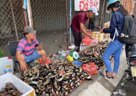 Thuc hu cua Ca Mau 50.000 dong/3 con ban day duong, “bao an“-Hinh-2