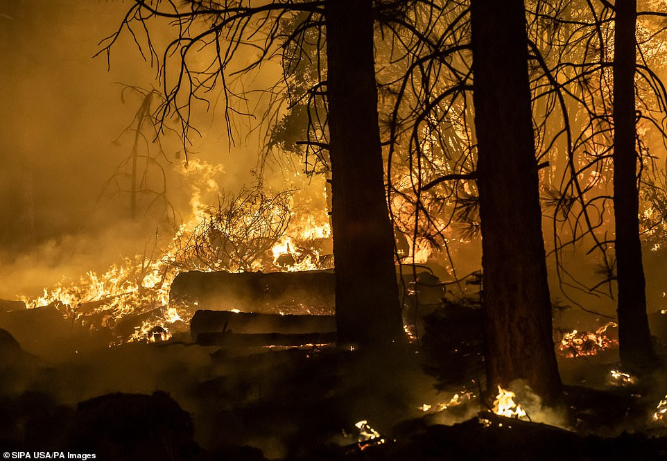 Thống đốc bang California, Gavin Newsom, đã tuyên bố tình trạng khẩn cấp hôm 6/9 khi 25 đám cháy bùng lên.