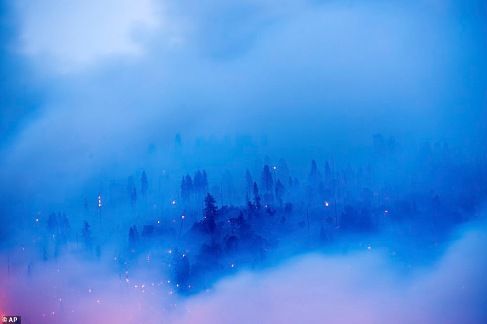 Khói bốc lên từ đám cháy Creek bao trùm rừng cây tại cộng đồng Cascadel Woods, hạt Madera, ngày 7/9.